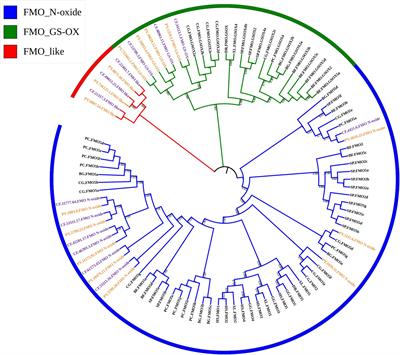 Transcriptional Responses of Flavin-Containing Monooxygenase Genes in Scallops Exposed to PST-Producing Dinoflagellates Implying Their Involvements in Detoxification